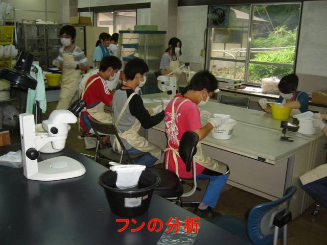 フン分析