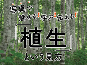 kikaku2026_HPtop