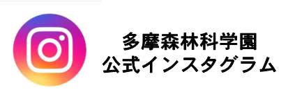 多摩森林科学園インスタグラム
