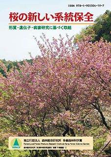 研究報告書2013
