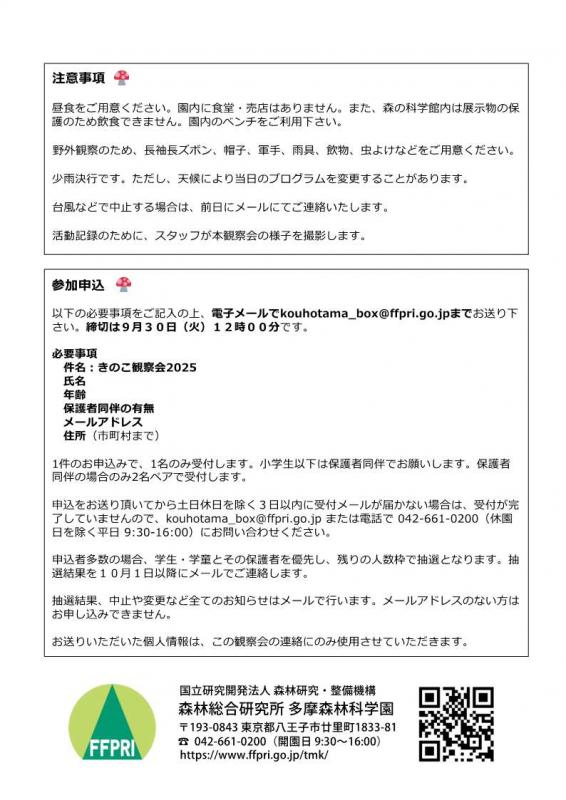 kinoko2_2025