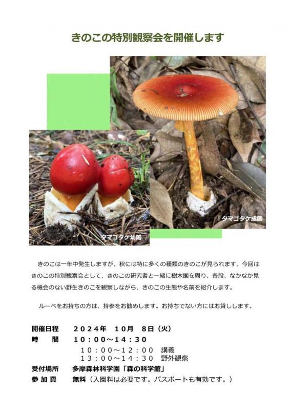 きのこの特別観察会