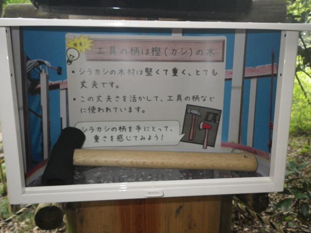 ミニ展示室