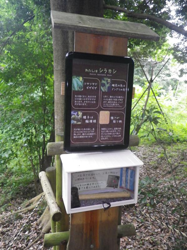 森のミニ展示室
