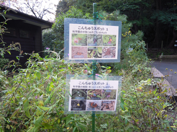 konspot