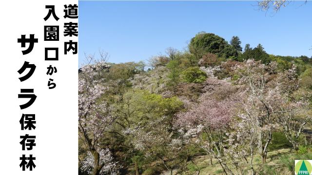 道案内