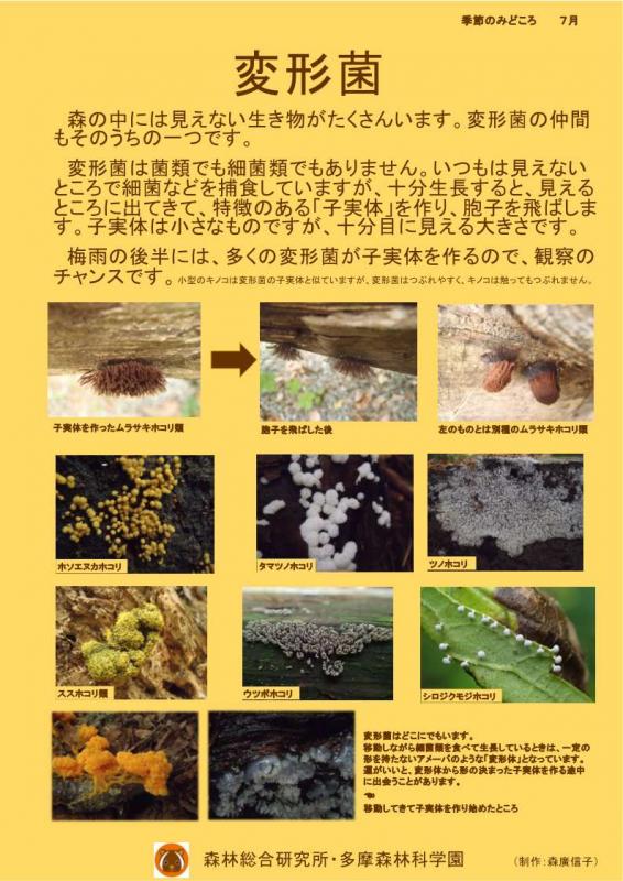 midokoro20250602