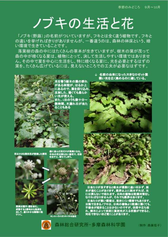 midokoro20250901