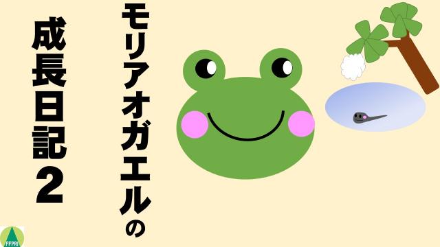 モリアオガエルの成長日記2