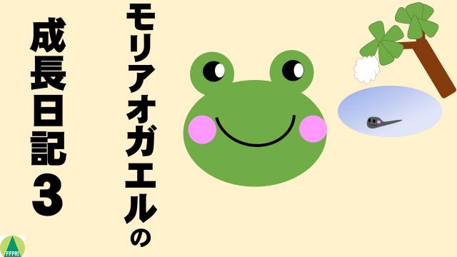 モリアオガエルの成長日記3