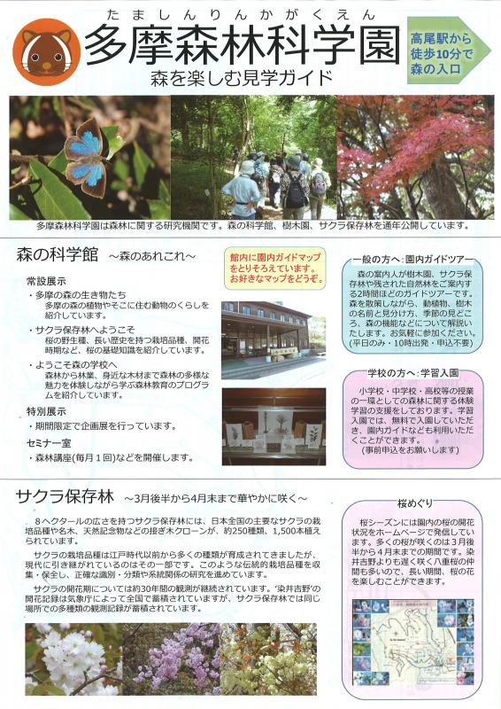 森を楽しむ見学ガイド