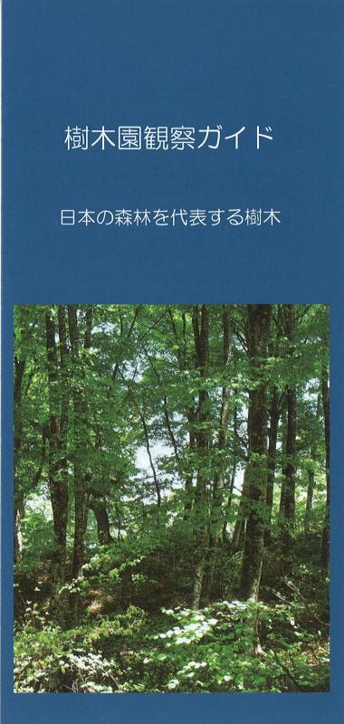 日本の森林を代表する樹木