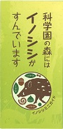 イノシシパンフレット