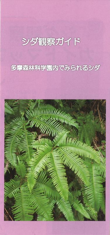 シダ観察ガイド