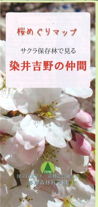 桜めぐりマップ染井吉野の仲間