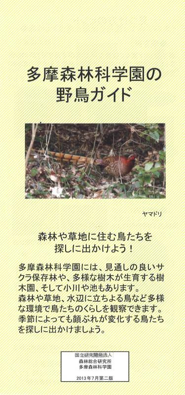 野鳥ガイド