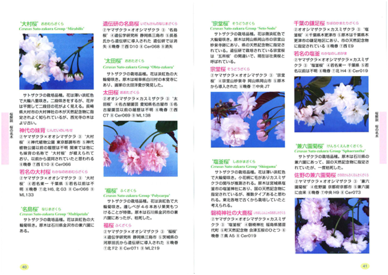 サクラ保存林ガイド解説