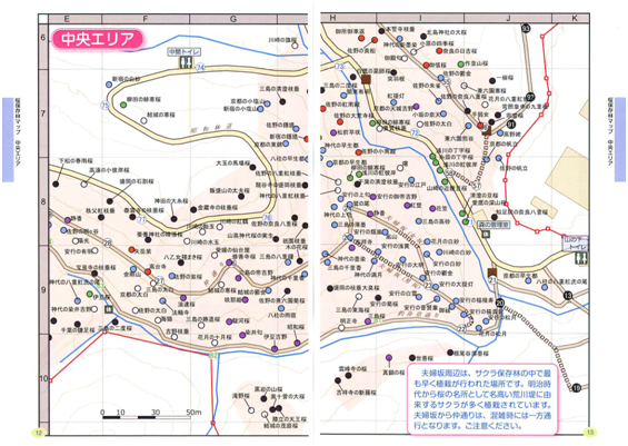 サクラ保存林ガイド地図