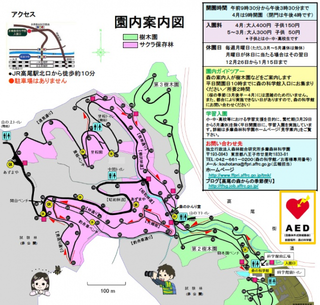 sakurak6
