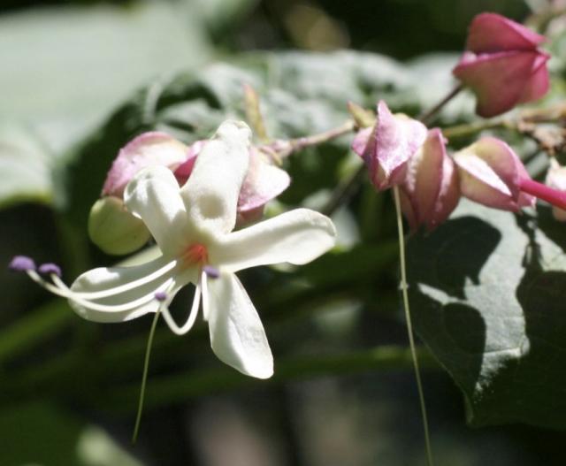 8月