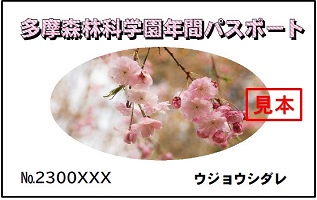 年間パスポート表