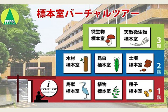 森林総合研究所標本室バーチャルツアーicon