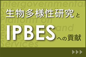 特設サイトicon_生物多様性研究とIPBESへの貢献