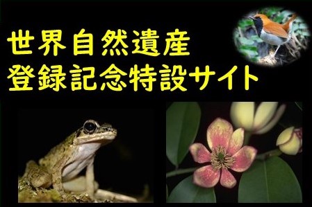 世界自然遺産登録_icon