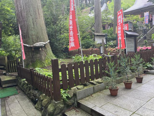r6_enkakujinoryuutousugi110ban
