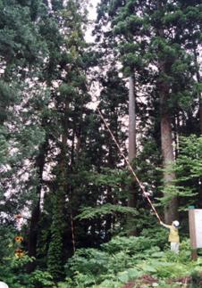 image10