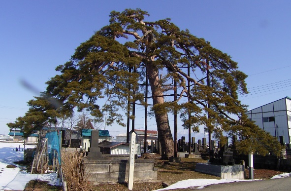 image14