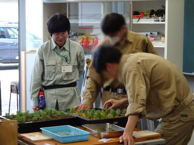 sashikijitsugishidou