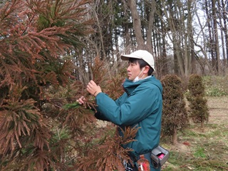 20260303_kahunobanatori