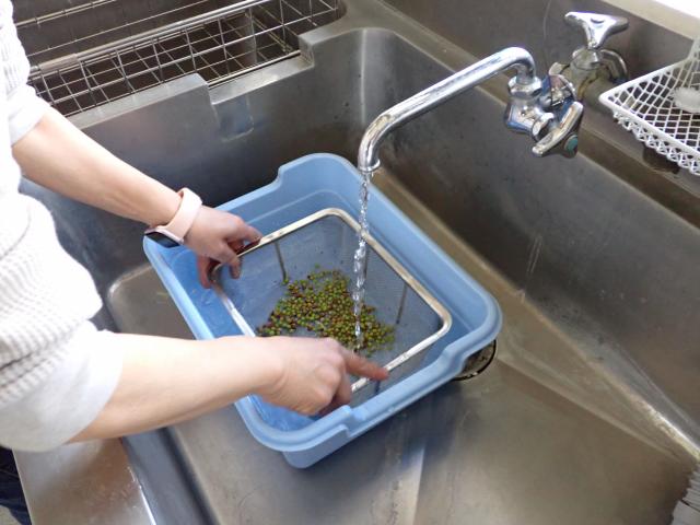 photo7_1