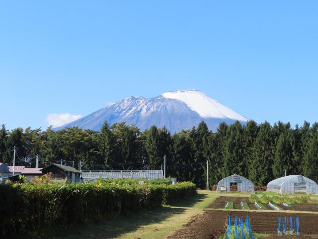 iwatesan