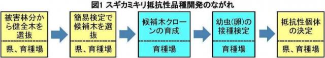 sugikamikiri_flo