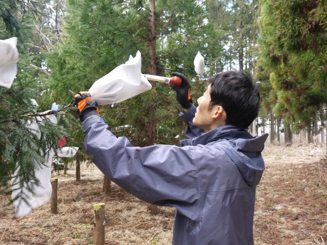 20120413jinkou_kouhai1