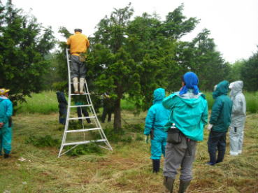20120528miyagi_kousyuushidou2