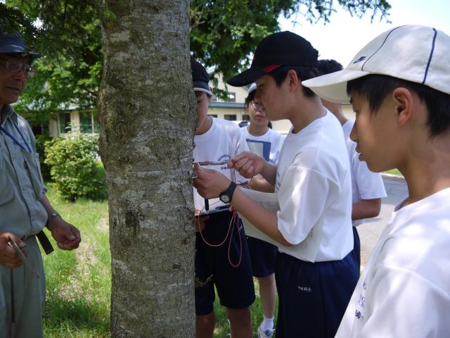 20120710shimonohashicyu3