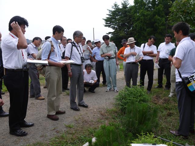 20120721bunkakai2