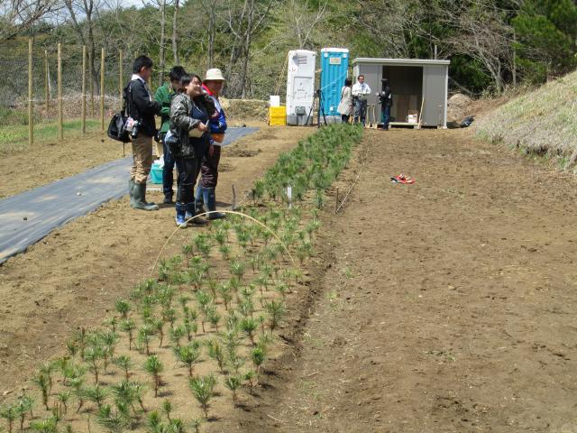 20130428takatamatsubara_satogaeri3