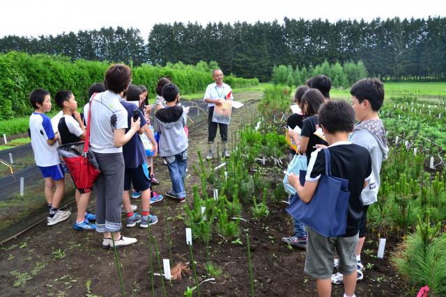 20130710ippongisyo1