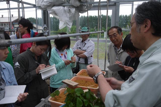 20150528gandaijissyu2
