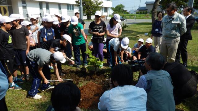 20150529kashiwabakouen-momi2