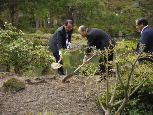 唐崎の松植樹風景