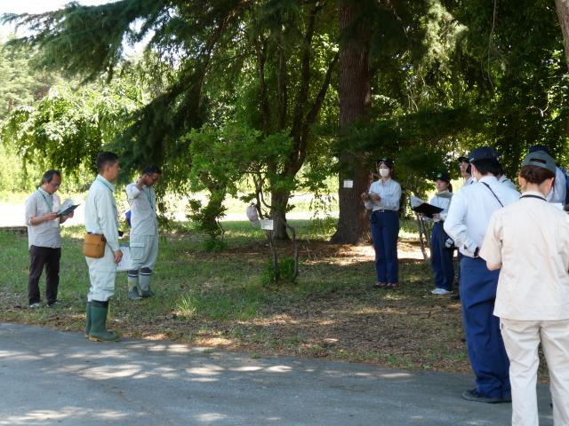 20240620_yamagatasyoshisatsu