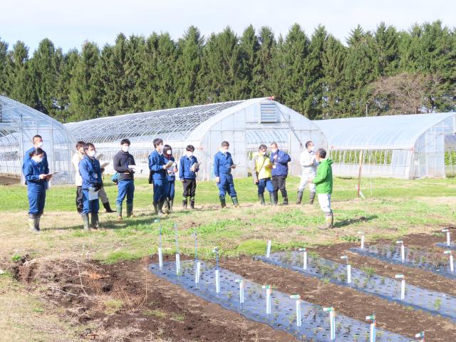 苗畑の見学