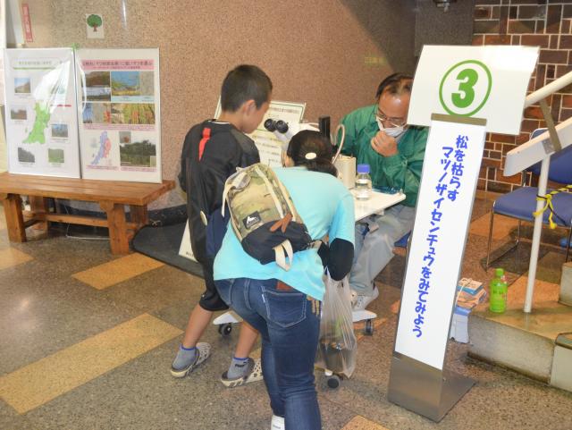 2019ザイセンチュウ展示