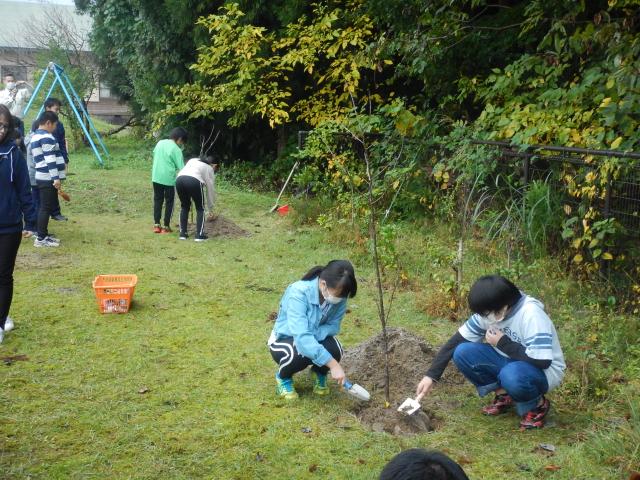 2019東育里帰り野中桜2