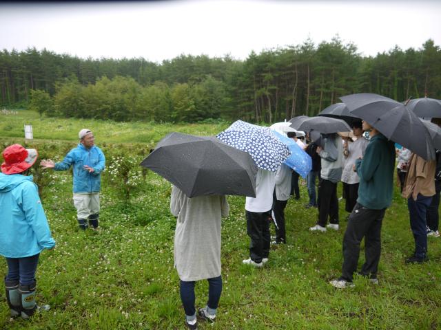 2019岩大植物生命科学科ミニチュア
